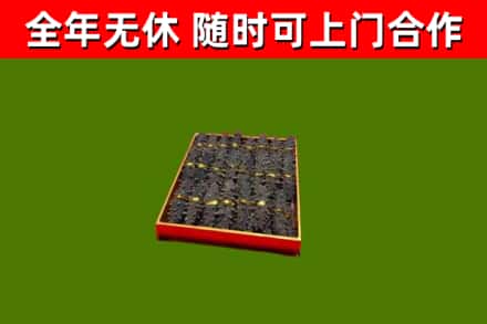 胡杨河回收海参